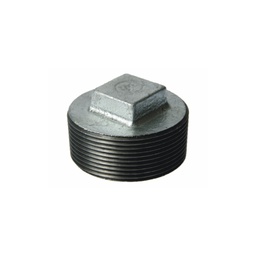 [GAL-PLUG-20] 20mm Galvinised Hollow Plug